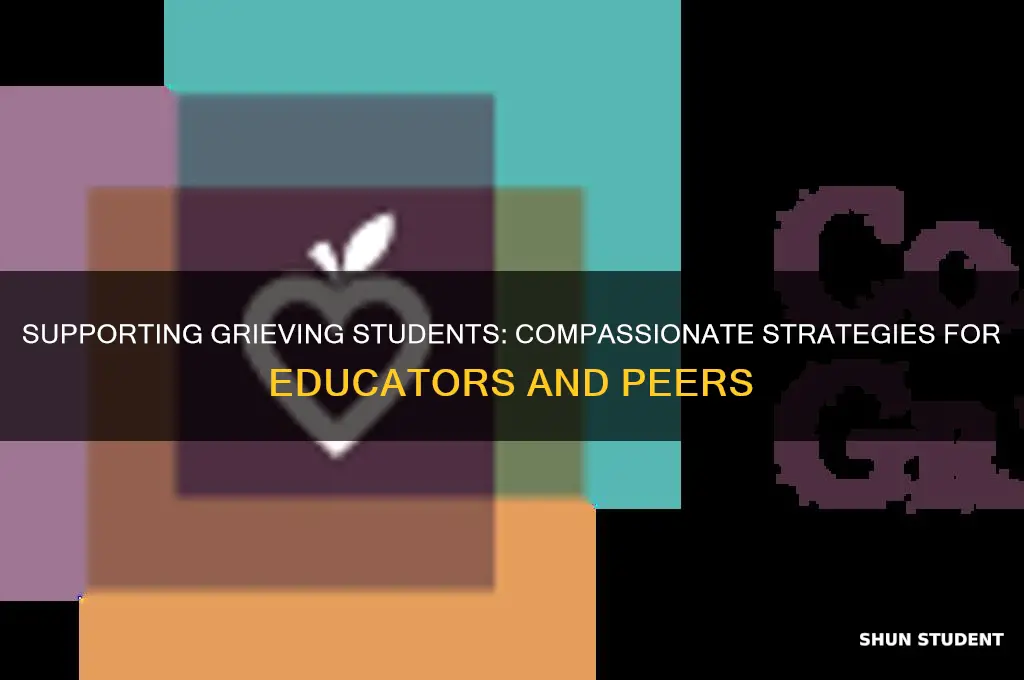 how to help a student who has lost a parent