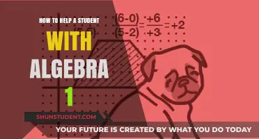 Mastering Algebra 1: Effective Strategies to Support Student Success