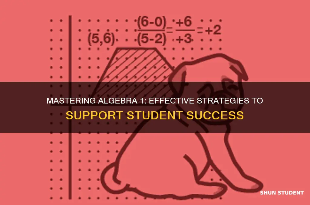 how to help a student with algebra 1
