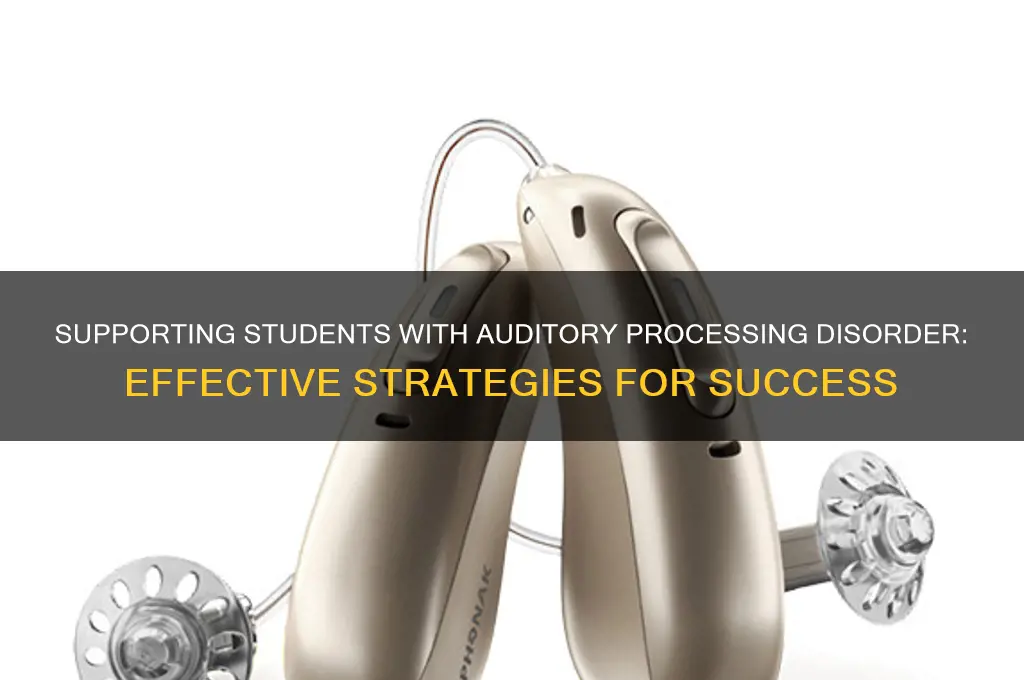 how to help a student with auditory processing disorder