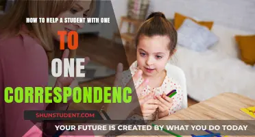 Mastering One-to-One Correspondence: Effective Strategies to Support Student Learning