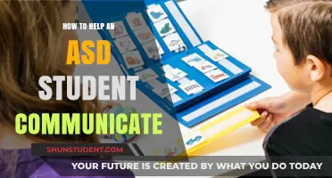Supporting ASD Students: Effective Communication Strategies for Inclusive Learning