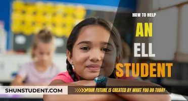 Supporting ELL Students: Effective Strategies for Academic Success and Inclusion