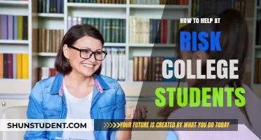 Supporting At-Risk College Students: Strategies for Success and Resilience