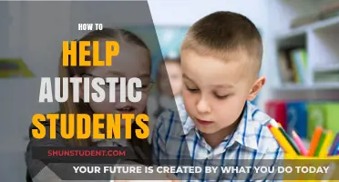 Empowering Autistic Learners: Strategies for Inclusive Classroom Support