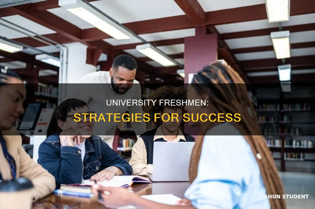 how to help first year university students