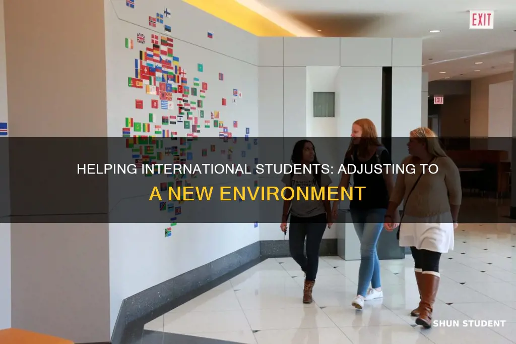 how to help international students adjust