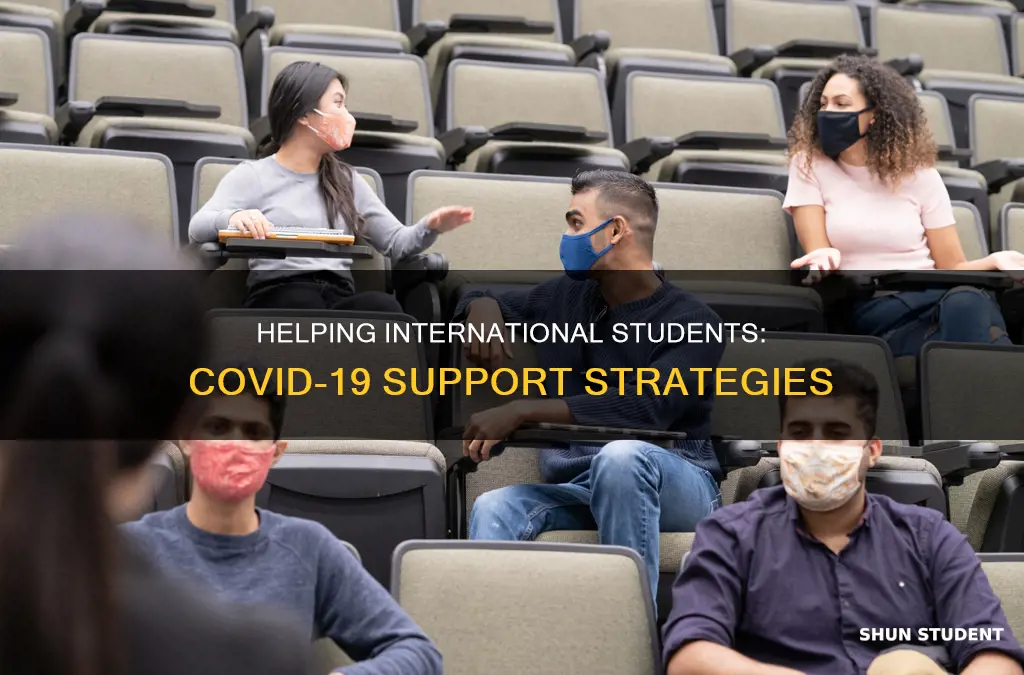 how to help international students covid