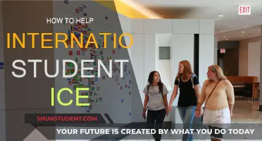 Breaking the Ice: Helping International Students Connect