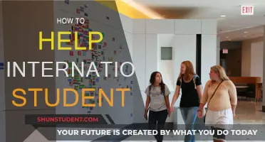 Helping International Students: A Guide for Universities