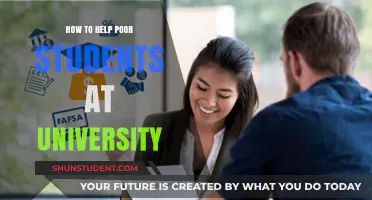 Helping Underprivileged Students: Strategies for University Success