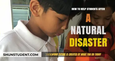 Supporting Students Post-Disaster: Strategies for Healing and Academic Recovery