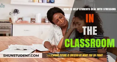 Empowering Students: Strategies to Manage Classroom Stressors Effectively