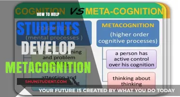 Empowering Learners: Strategies to Foster Metacognition in Students