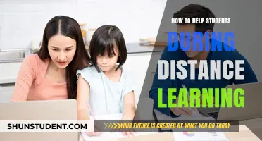 Supporting Students in Distance Learning: Effective Strategies for Success