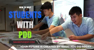 Supporting Students with PDD: Effective Strategies for Inclusive Learning