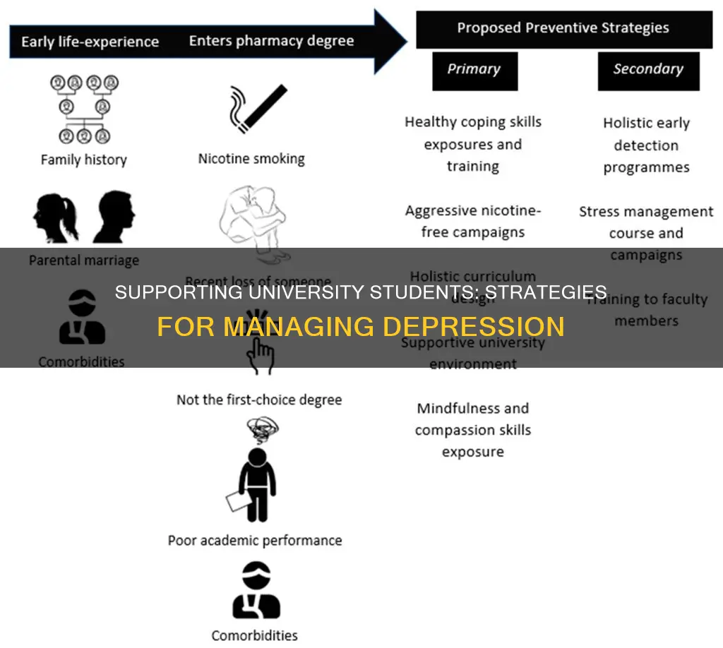 how to help university students with depression