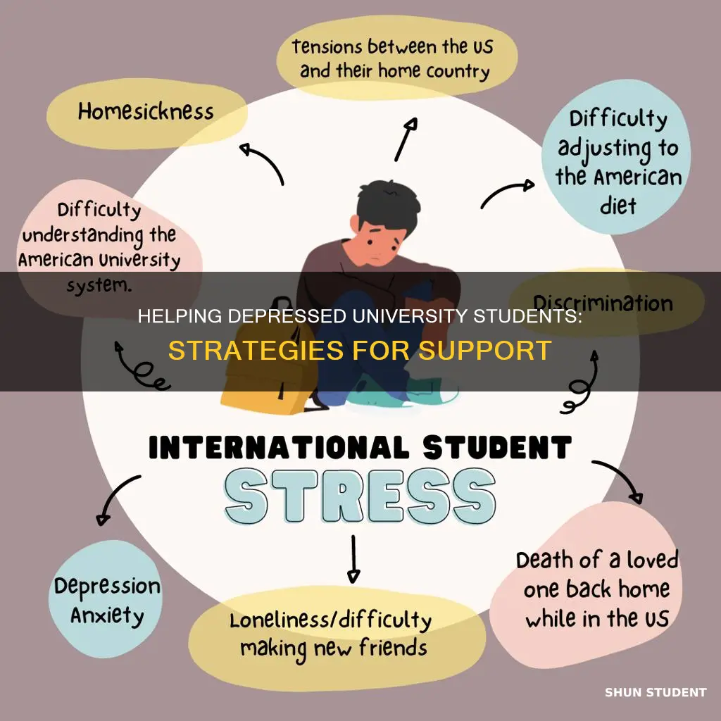 how to help university students with depression