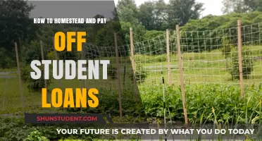 Homesteading: Student Loan Freedom