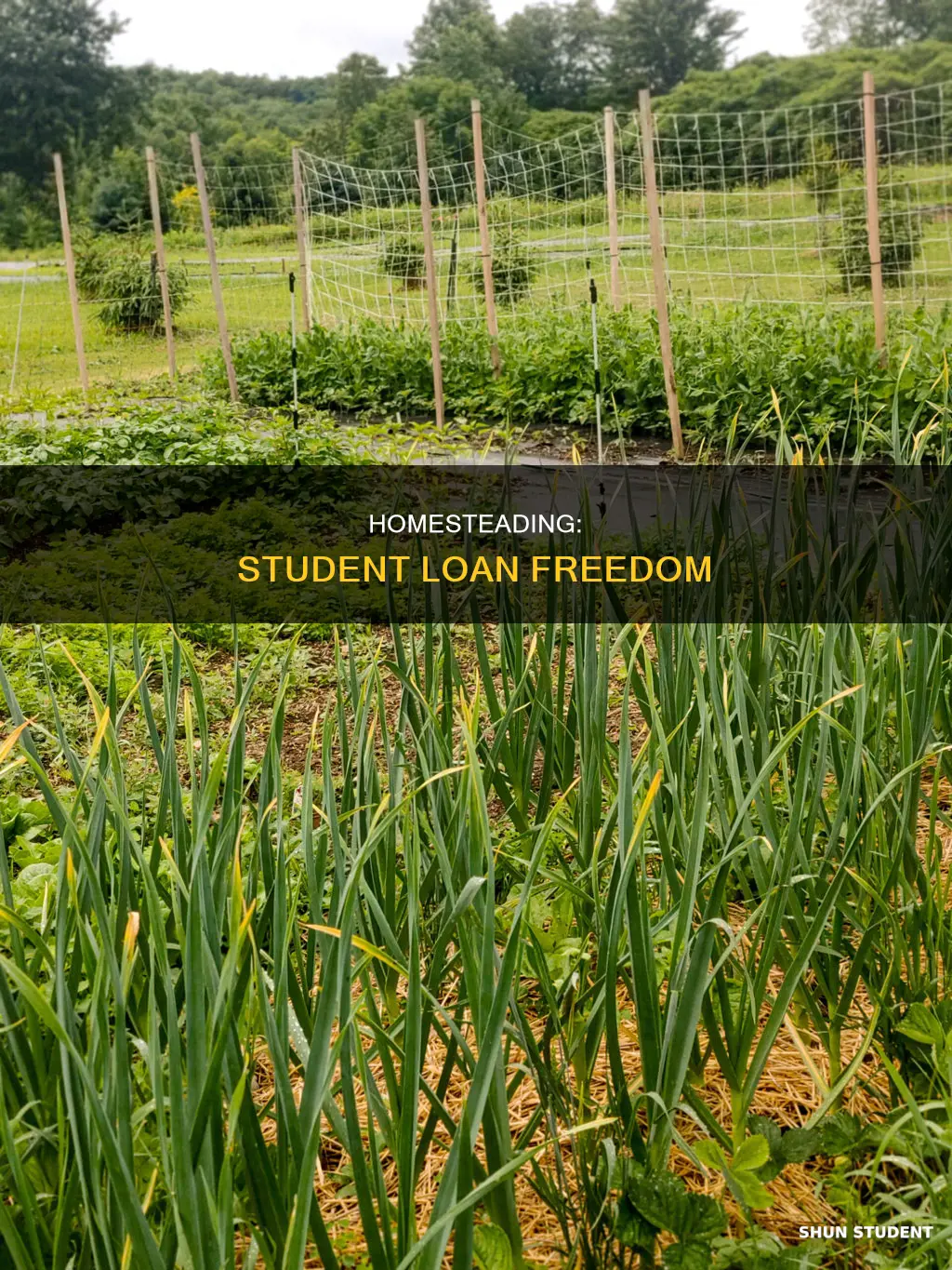 how to homestead and pay off student loans