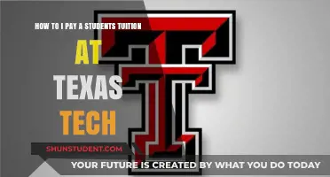 Paying Texas Tech Tuition: A Guide for Students