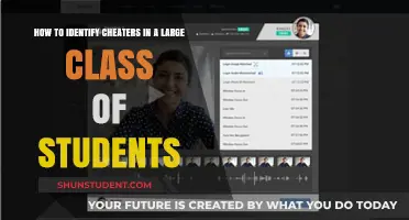 Unveiling Dishonesty: Effective Strategies to Identify Cheaters in Large Classes