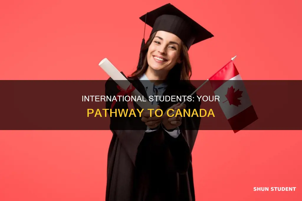 how to immigrate to canada as an international student