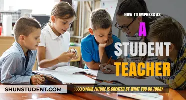Mastering the Classroom: Tips for Student Teachers to Shine and Inspire