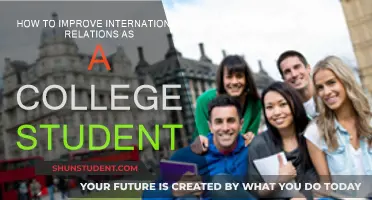 Cultivating Global Friendships: A Student's Guide to International Relations
