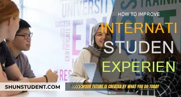 Enhancing International Student Experience: Strategies for Success