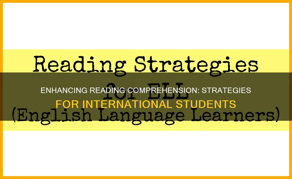 how to improve reading comprehension for international students