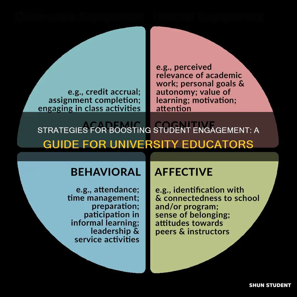 how to improve student engagement in universities