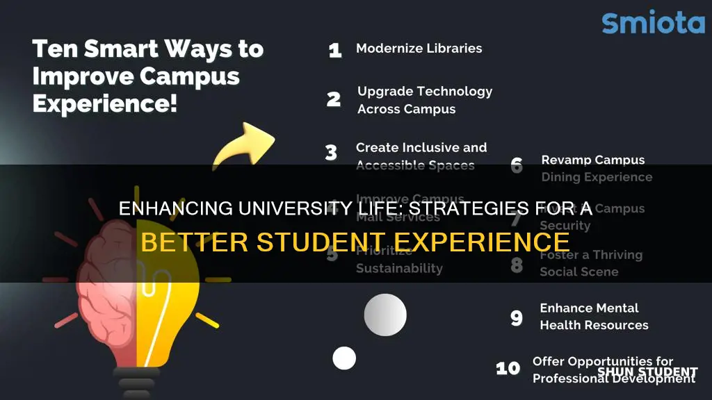 how to improve student experience at university