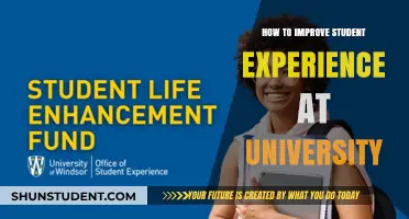 Enhancing the Student Experience: Strategies for University Success