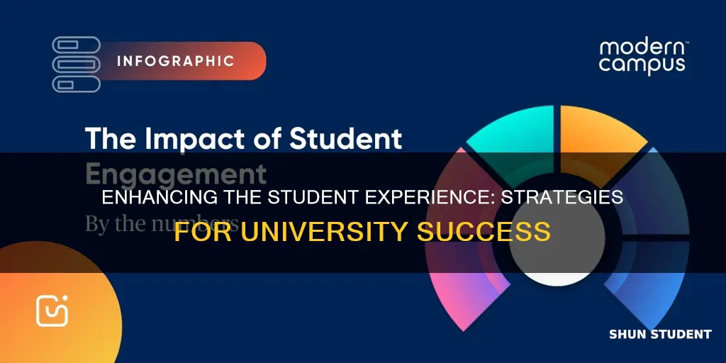 how to improve student experience at university