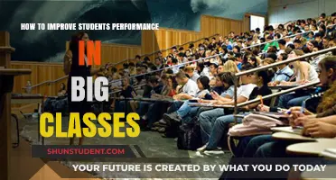 Boosting Student Performance in Large Classrooms: Effective Strategies