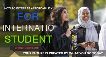 Affording International Education: Strategies for Financial Accessibility