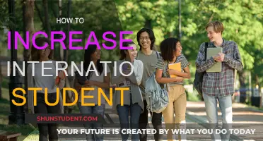 Attracting More International Students: Strategies for Success