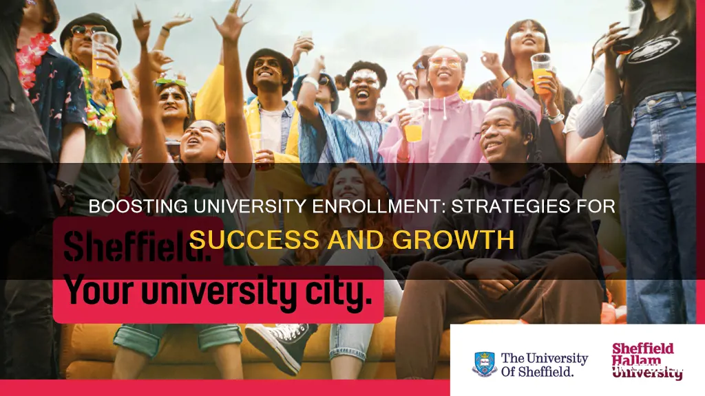 how to increase student enrollment in university