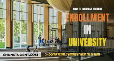 Strategies to Boost University Enrollment and Appeal to Students