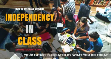 Fostering Autonomy: Strategies to Empower Students in the Classroom