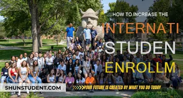 Boosting International Student Enrollment: Strategies for Success