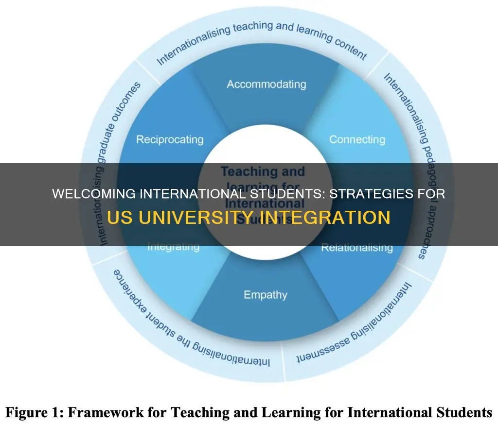 how to integrate international students into us universities