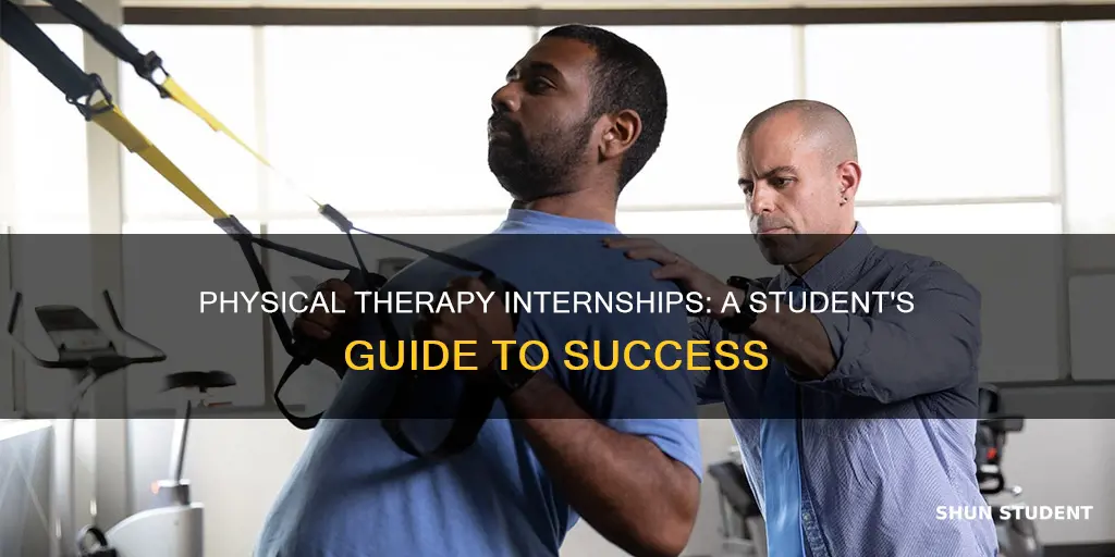 how to intern for physical therapy as a student
