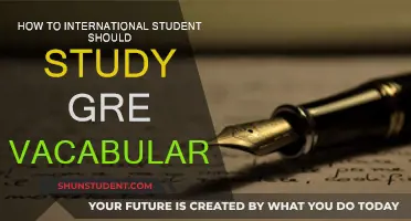 Mastering GRE Vocabulary: Strategies for International Students