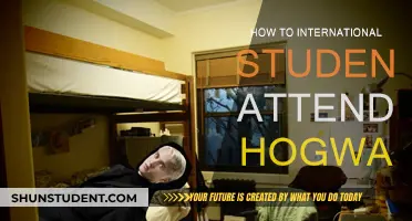 Attending Hogwarts: A Guide for International Students