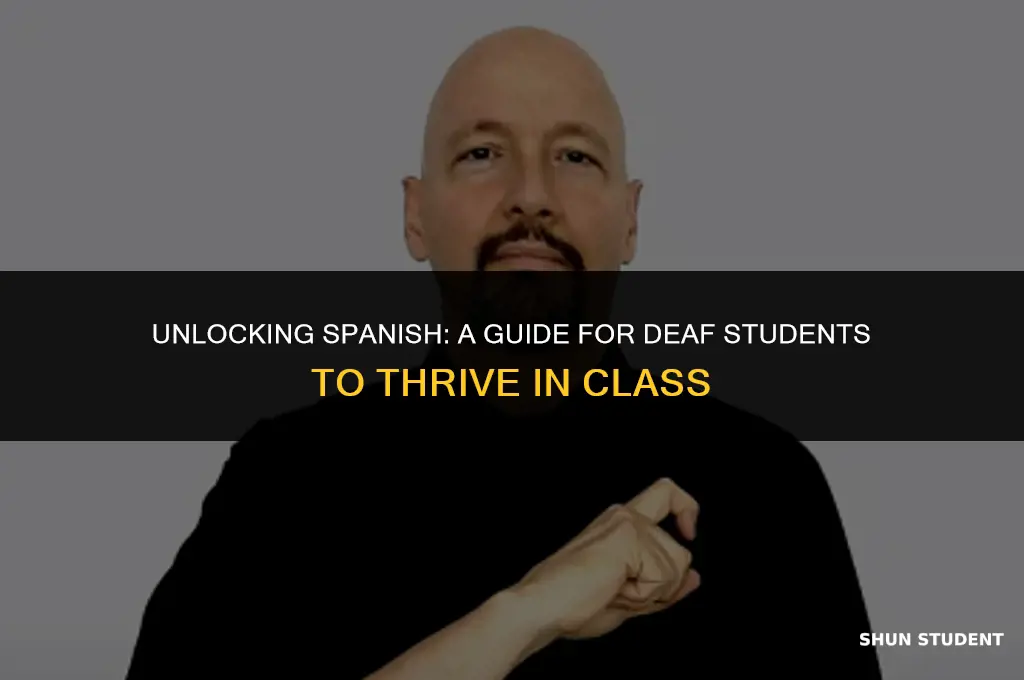 how to interpret spanish class for a deaf student