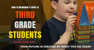 Engaging Young Minds: Introducing New Topics to Third Graders