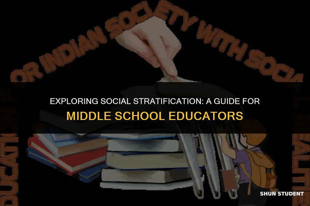how to introduce social classes to students