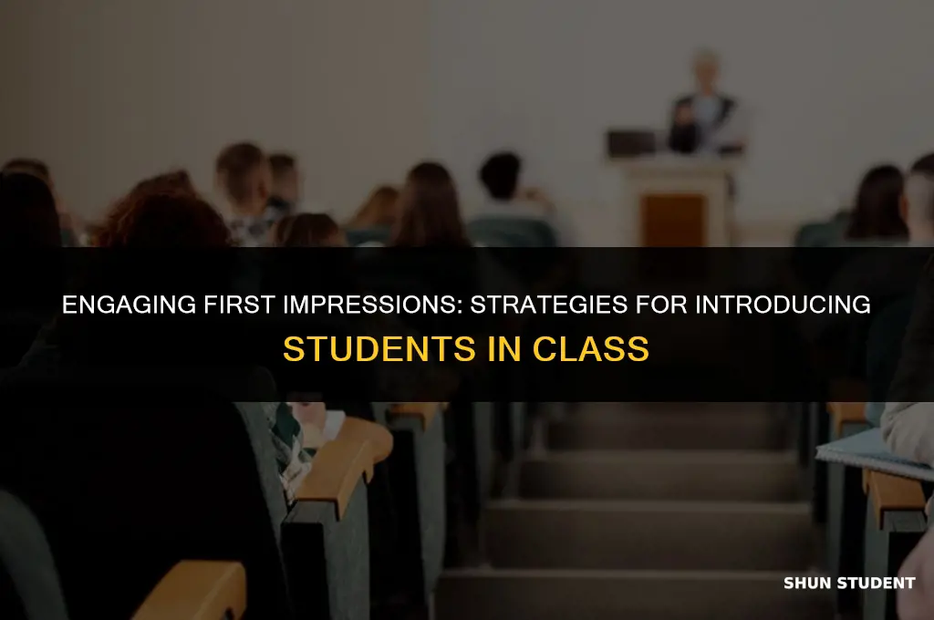 how to introduce students in class